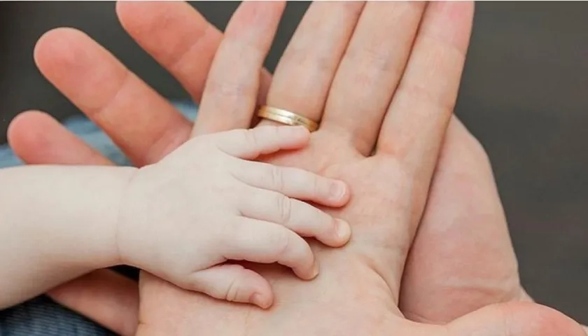 La actividad cerebral espontánea durante las etapas embrionarias impulsa el mapeo del tacto, de manera que este sentido surge en el cerebro antes del nacimiento. 