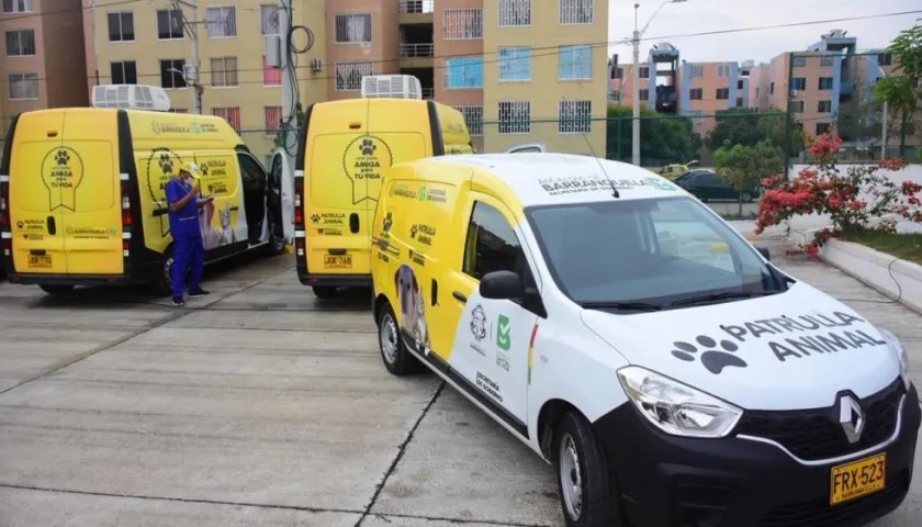 Esta es la patrulla animal.