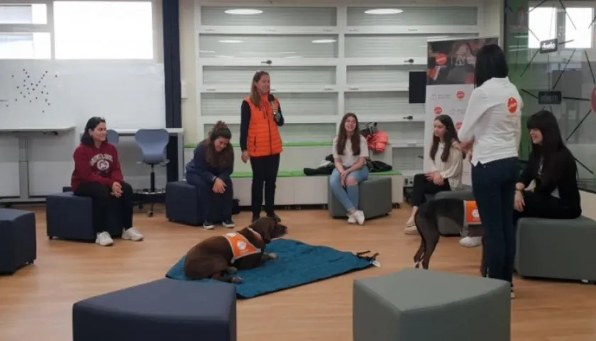 Así trabaja el proyecto con estudiantes universitarios.