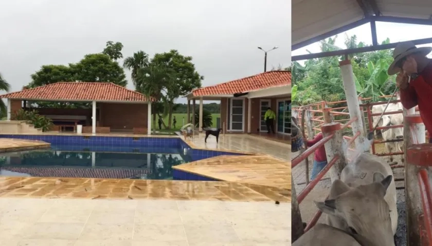 Los bienes ocupados. 