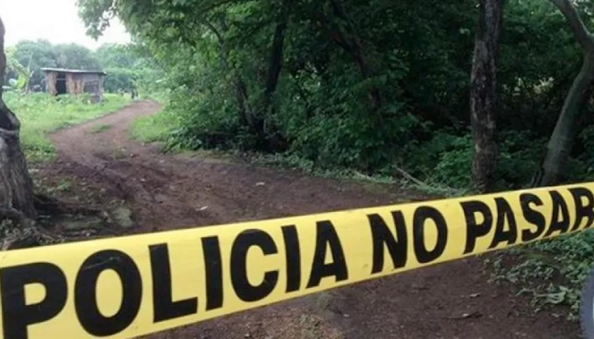 Imagen referencial