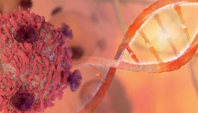 La mitad de las medicinas que el Comité ha acordado incorporar a la lista en los últimos diez años son para tratar distintos tipos de cáncer.