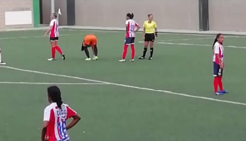 Las Tiburonas de Junior.