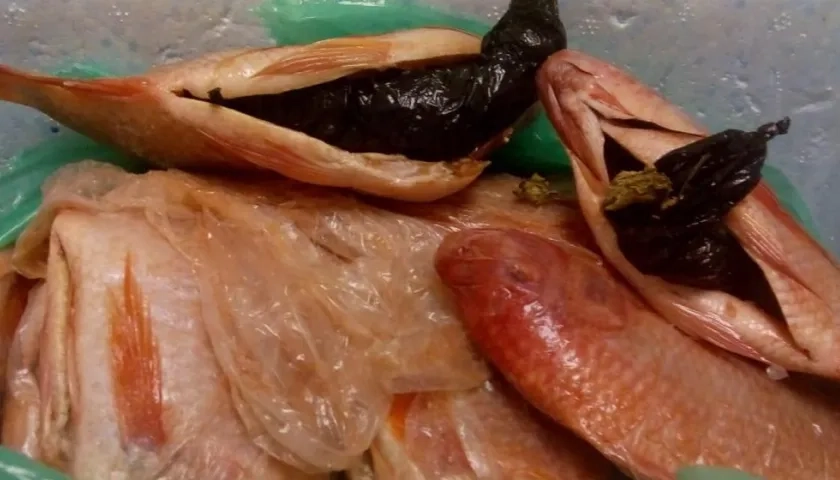 Mojarras incautadas con marihuana.