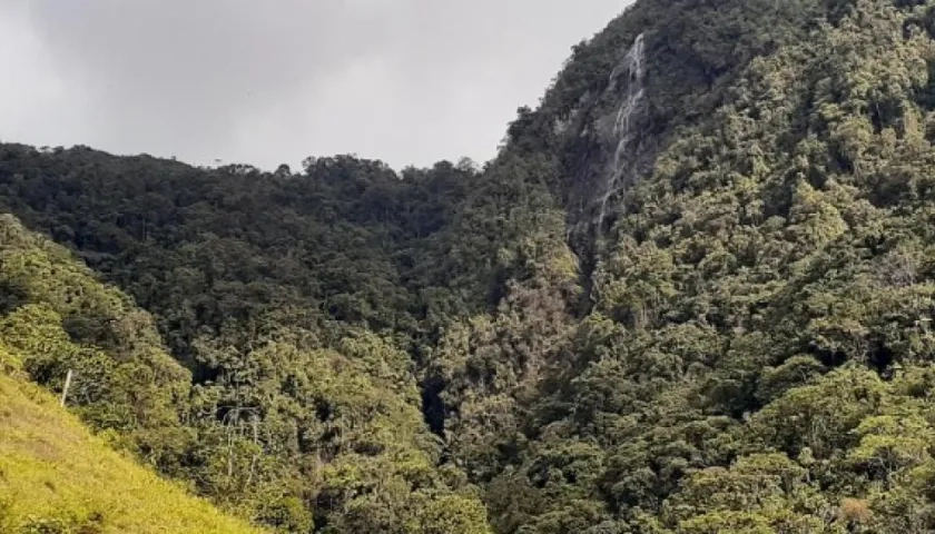En este lugar desde lo alto cayó la niña.