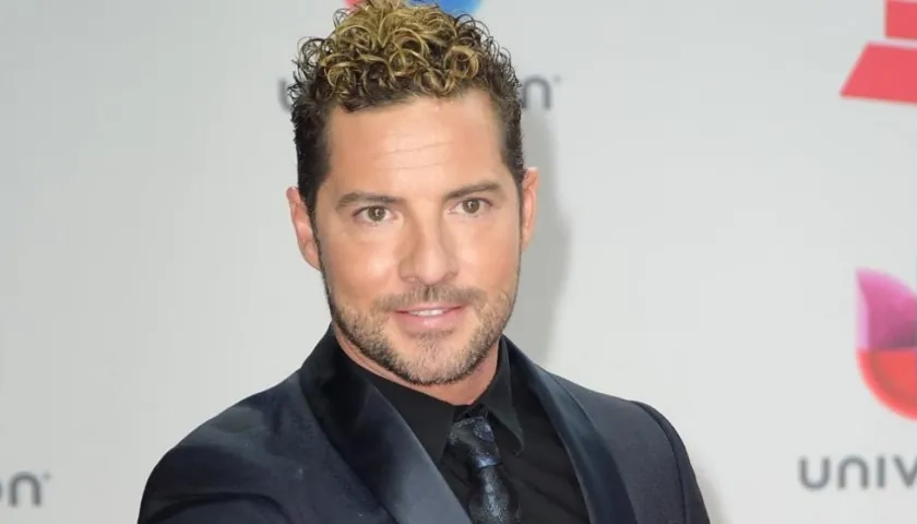 El cantante español David Bisbal.