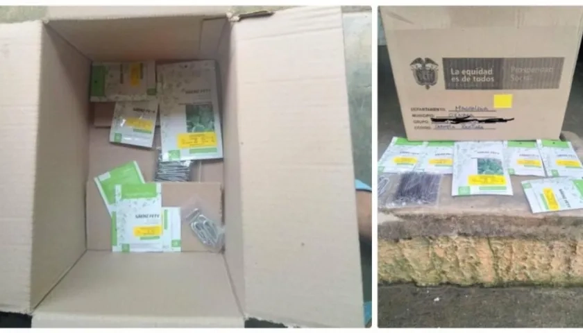 Esta fue la precaria ayuda que llegó para campesinos de la Sierra Nevada