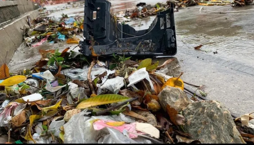 Residuos sólidos en las rejillas.