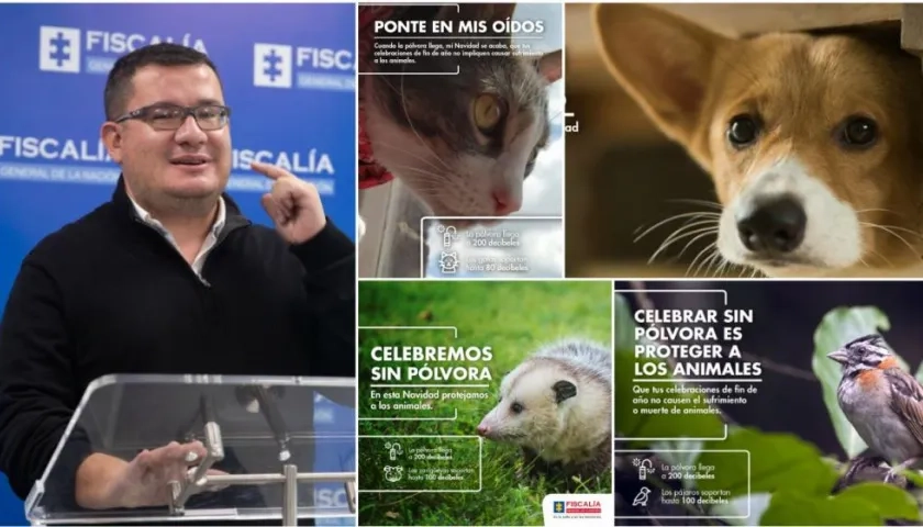 Campaña Ponte en mis oídos fue explicada por el coordinador de la Gelma de la Fiscalía, Alejandro Gaviria.