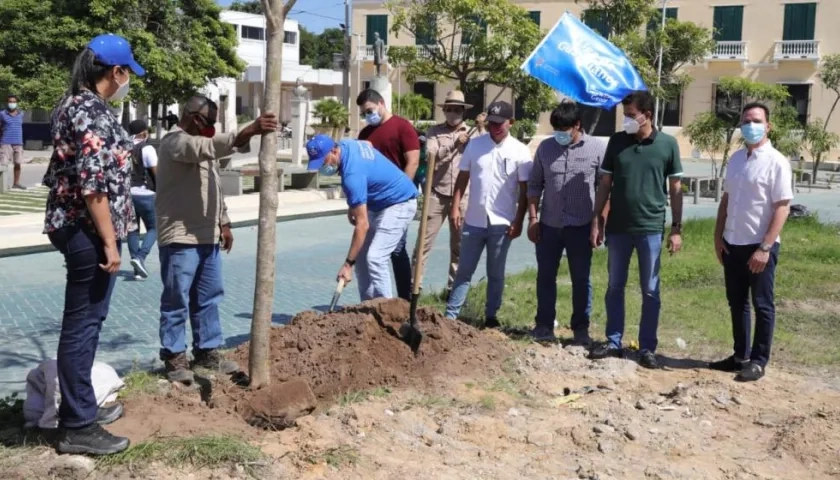 Siembra del primer árbol de la plaza.
