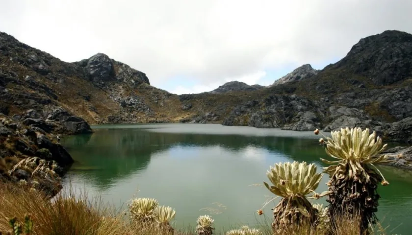 Los recursos para la conservación de los páramos provienen de la cooperación internacional.