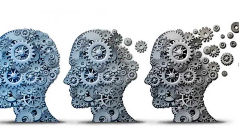 El equipo fue liderado por científicos del Instituto Cajal, del Consejo Superior de Investigaciones Científicas (CSIC).