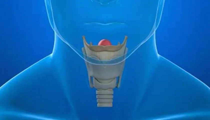 El hipotiroidismo se produce cuando existe una menor función tiroidea y eso afecta a todo el organismo.