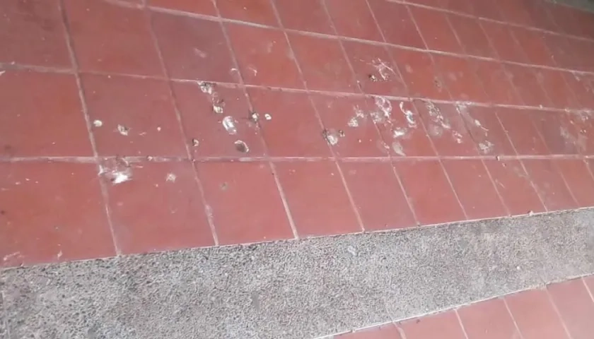 Pisos invadidos por las heces.