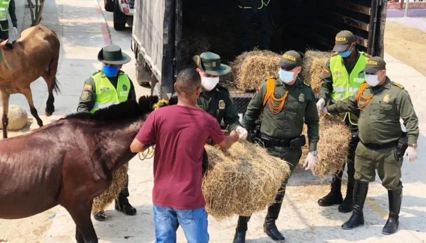 Entrega de pasto en el suroccidente de Barranquilla.