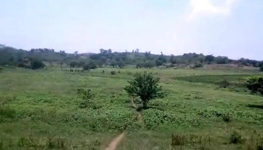 La zona de reserva natural 'La Montañita'.