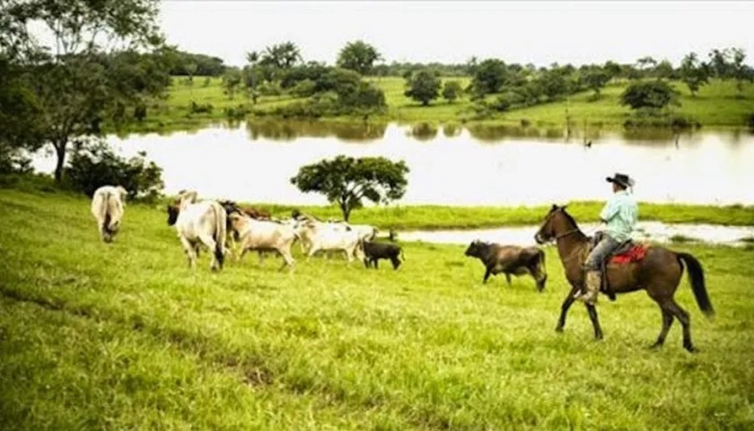 En el curso de la investigación se demostró que Lacouture Armenta declaró la inexistencia de la ciénaga de Amanzaguapos, Dividivi y Caño Viloria.