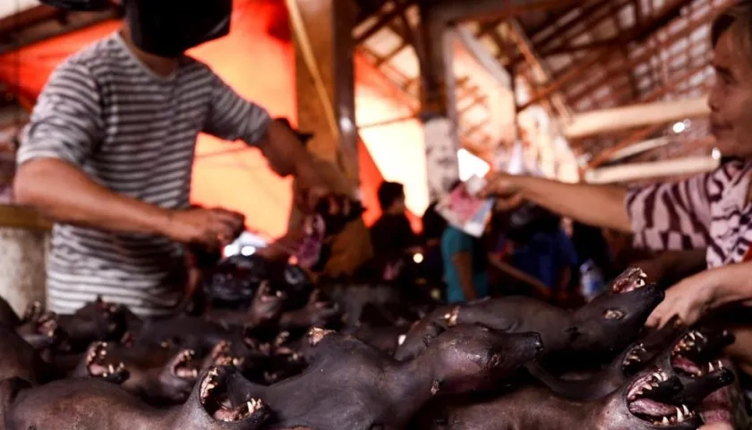 Venta de murciélagos asados.