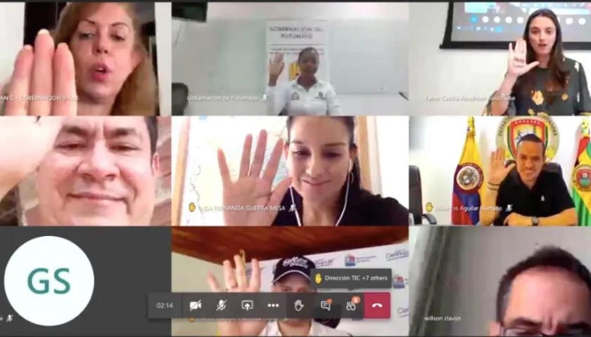 La Ministra Karen Abudinen durante el encuentro virtual.