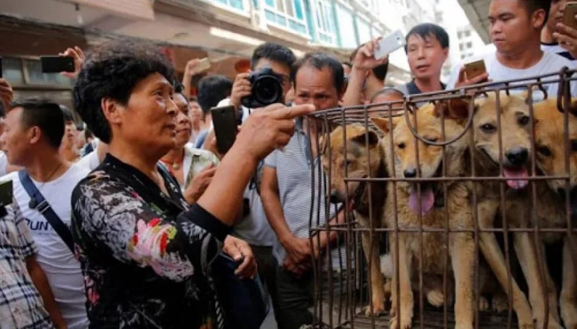 El Ministerio agrega que “hoy en día, los perros tienen otros usos".
