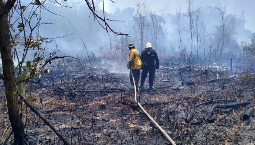 Bomberos brigadistas trabajan en la sofocación del incendio.