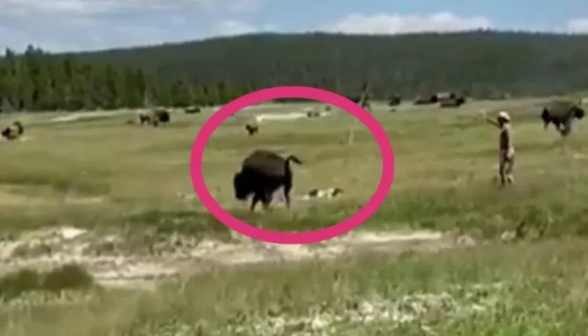 Momento en el que la mujer finge su muerte.