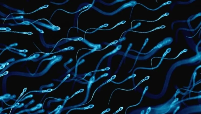 El equipo reveló que se trata de una ilusión óptica.