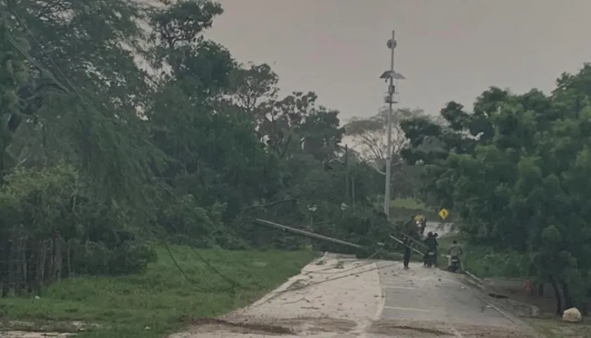 Árboles y líneas caídas en el sur del Atlántico.
