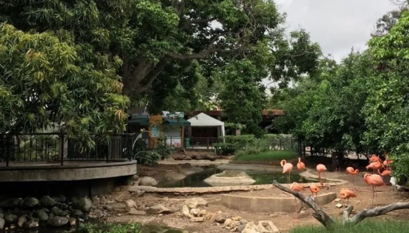 Panorámica del Zoológico de Barranquilla.
