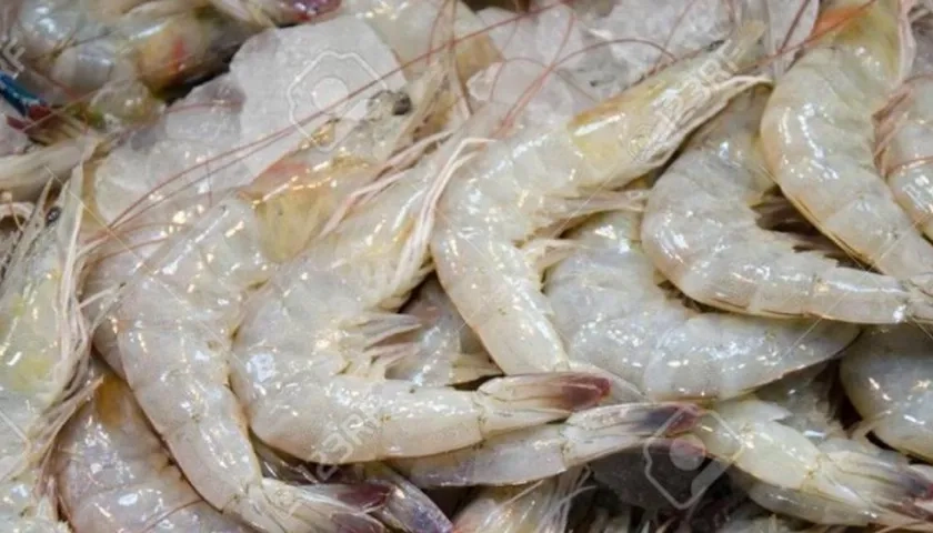 Todas las muestras que han dado positivo por SARS-CoV-2 han sido en el empaquetado exterior de productos congelados.