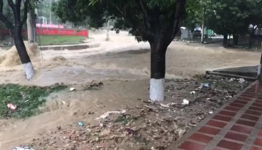 Arroyo 'El Salao' en Moras IV etapa. 