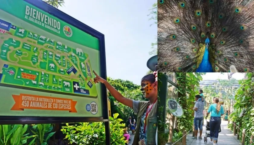 El Zoológico reabre sus puertas el 23 de septiembre.