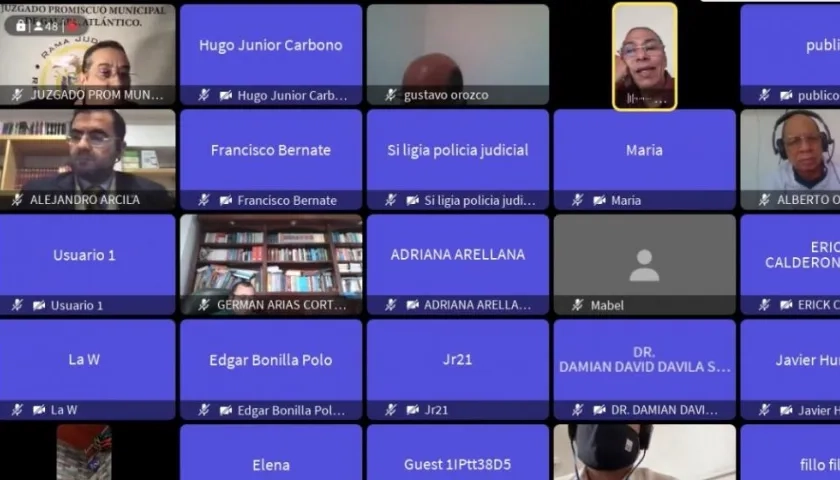 Audiencia virtual en la tarde de hoy.