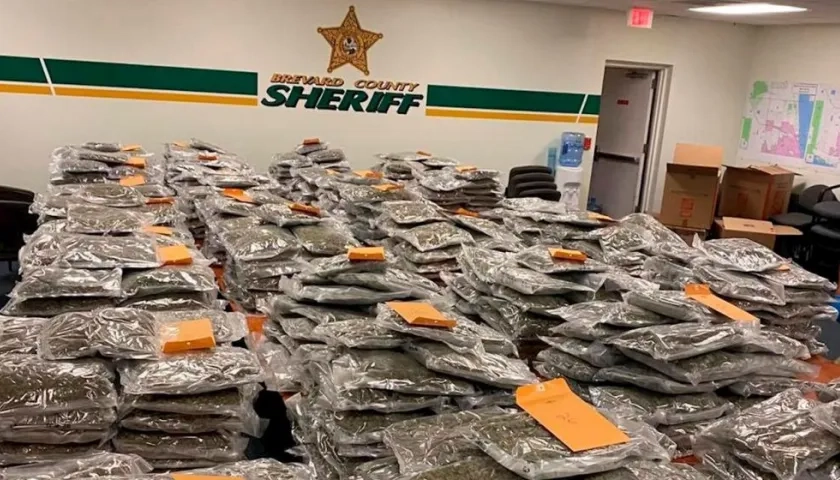 Cargamento de marihuana que tiene un valor de mercado de dos millones de dólares.