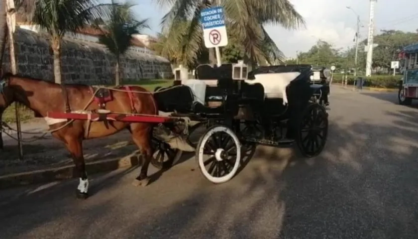 Los famosos coches de Cartagena desaparecerían.