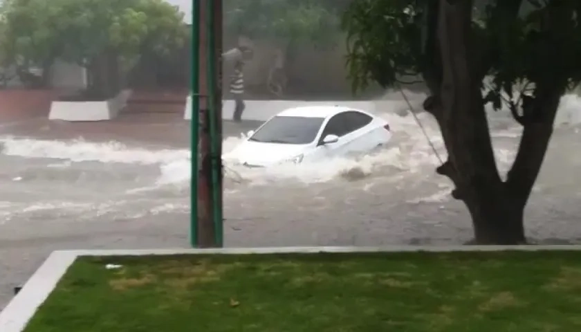 Instantes en que vehículo conducido por profesor universitario 