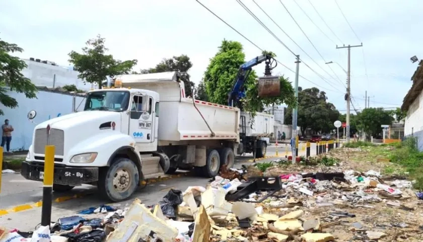Trabajos de limpieza en uno de los sectores.