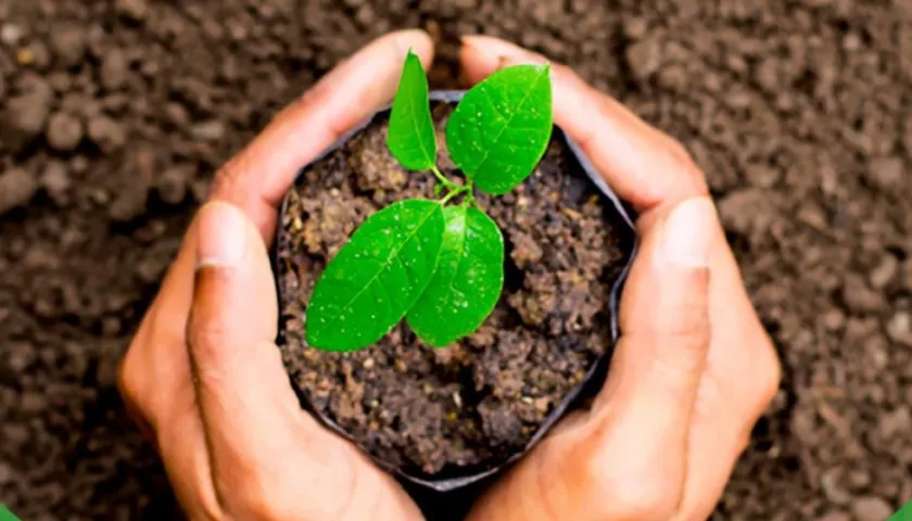 Las Reservas de la Sociedad Civil son espacios a cargo de ciudadanos decididos a conservar sus predios, cultura y patrimonio. 