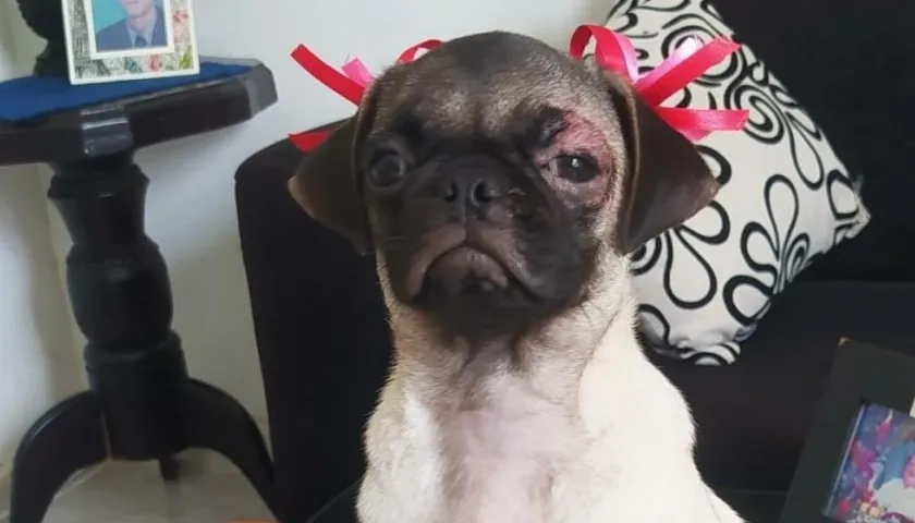Molly