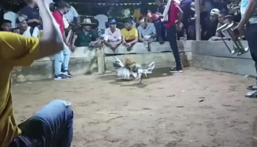 Momento de los hechos