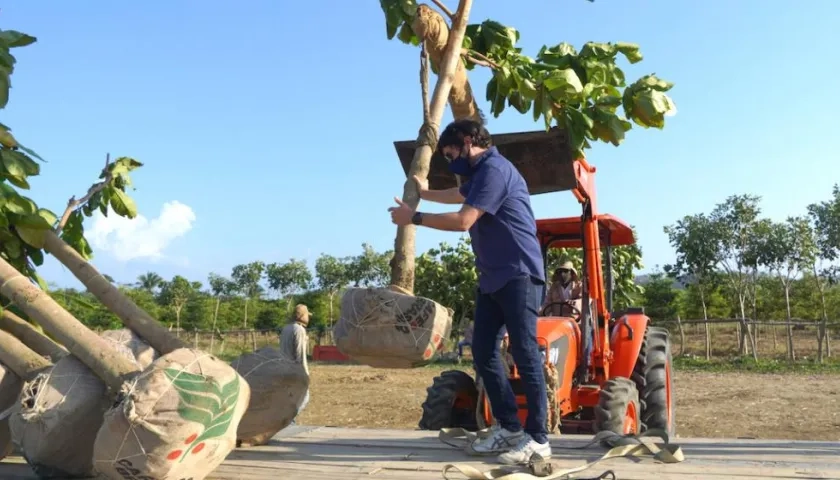 El Alcalde Jaime Pumarejo presidiendo jornada de arborización.