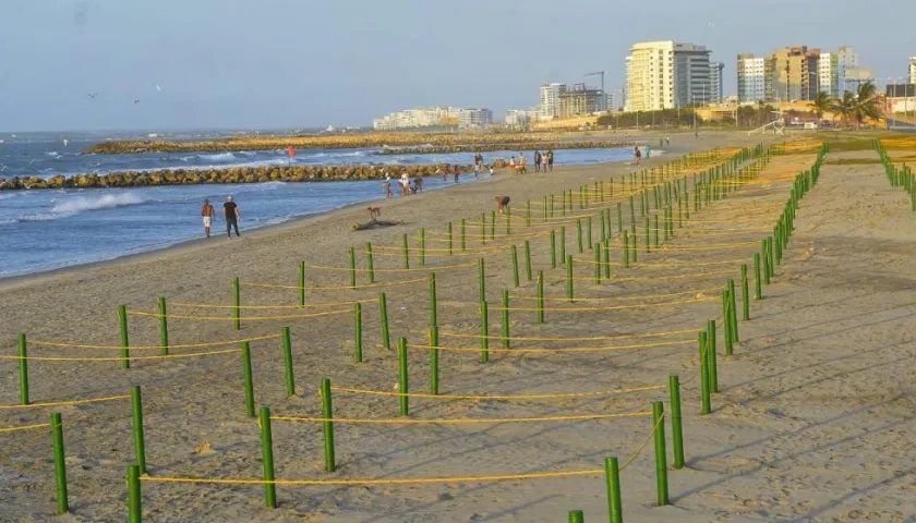 Abren sector de las letras en Marbella para el disfrute de los turistas locales y foráneos.