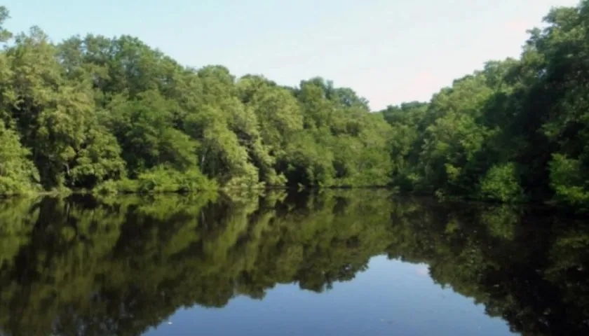 Ciénaga El Torno, en el Parque Isla Salamanca. 