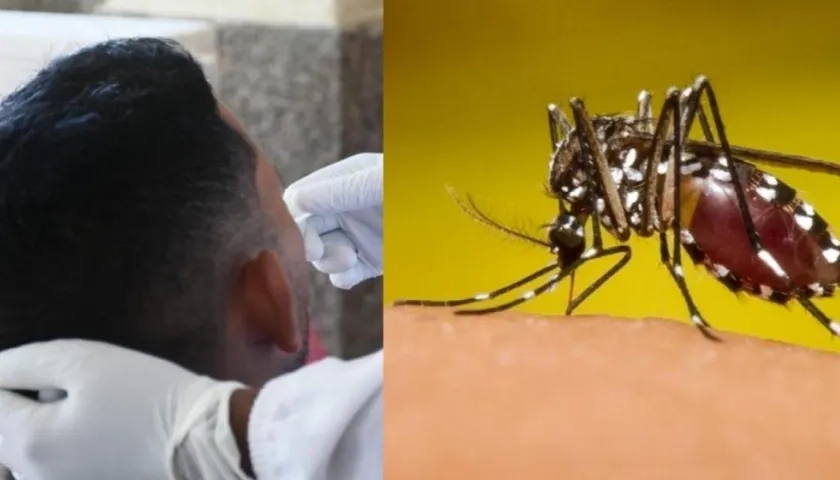 Imágenes referenciales.