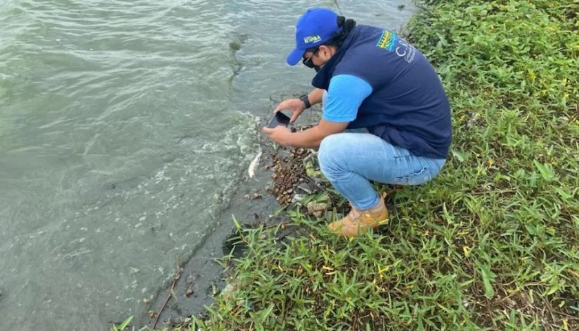 Visita técnica a la Ciénaga de Luruaco.