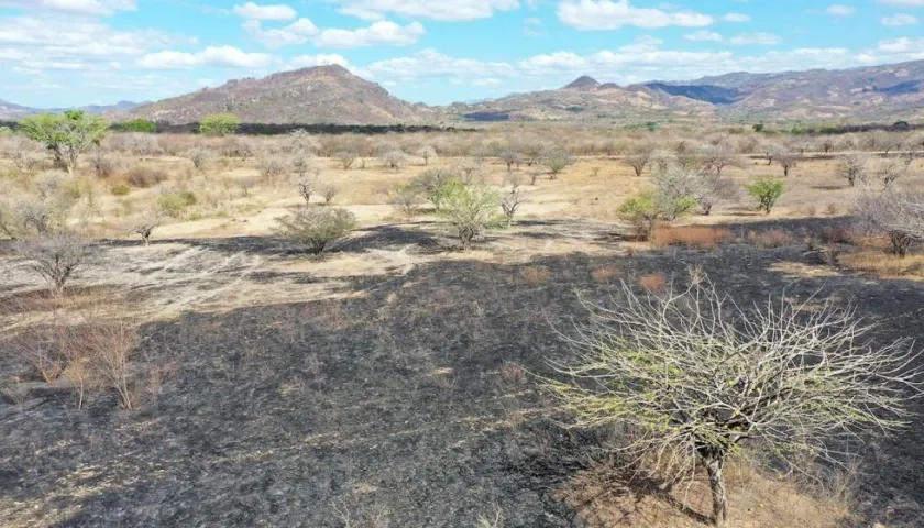 La pandemia de Covid-19 contribuyó al empeoramiento de los datos de hambre en el mundo.