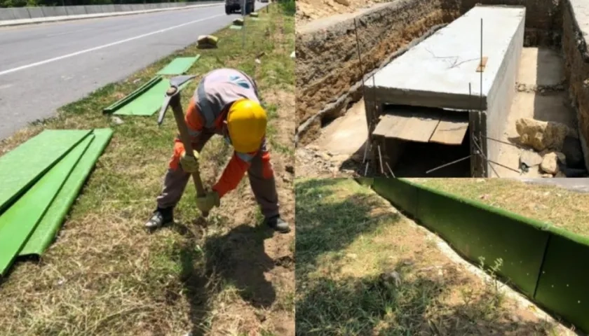 Inicia la construcción de nuevos pasos de fauna para la conservación de la fauna.