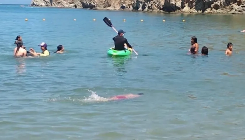 Imagen de los turistas.