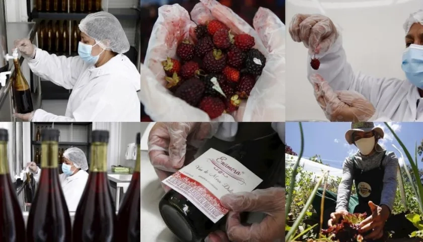 Imágenes de la producción de los campesinos.