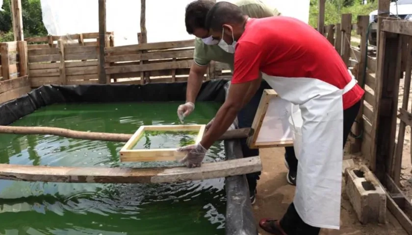 Piscinas para los cultivos.